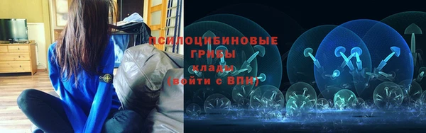 МДПВ Ладушкин