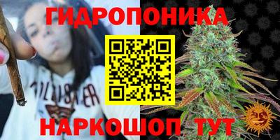 ГАЛЛЮЦИНОГЕННЫЕ ГРИБЫ Кандалакша