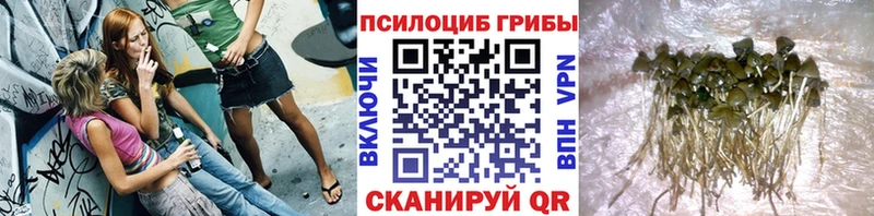 Галлюциногенные грибы GOLDEN TEACHER  цены   Михайловка 