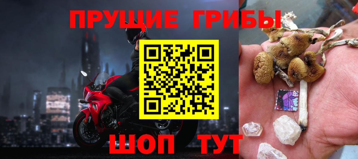 Галлюциногенные грибы мухоморы Михайловка
